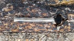 photo thumbnail #11