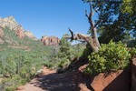 photo thumbnail #3