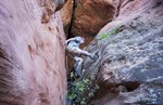 photo thumbnail #14