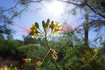 photo thumbnail #11