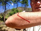 photo thumbnail #9