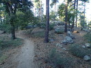 photo thumbnail #2