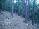 photo thumbnail #4