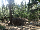 photo thumbnail #6