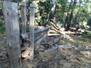 photo thumbnail #7