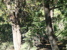 photo thumbnail #14