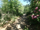 photo thumbnail #15