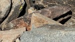 photo thumbnail #2