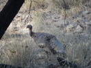 photo thumbnail #1