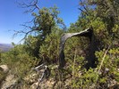 photo thumbnail #2