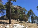 photo thumbnail #5