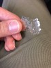 photo thumbnail #6