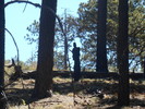 photo thumbnail #7