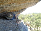 photo thumbnail #8