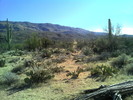 photo thumbnail #2