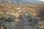 photo thumbnail #7