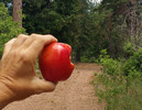 photo thumbnail #3
