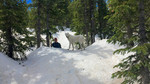 photo thumbnail #5