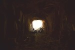 photo thumbnail #13