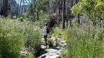 photo thumbnail #1