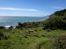 photo thumbnail #2