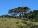 photo thumbnail #7