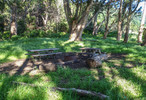 photo thumbnail #11