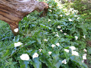 photo thumbnail #13