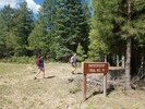 photo thumbnail #1