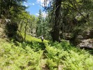 photo thumbnail #8