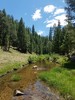 photo thumbnail #10