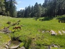 photo thumbnail #14