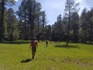 photo thumbnail #15