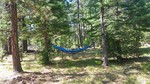 photo thumbnail #8