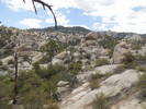 photo thumbnail #11