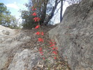 photo thumbnail #12