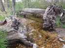 photo thumbnail #13