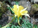photo thumbnail #15