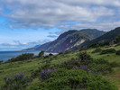 photo thumbnail #1