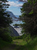photo thumbnail #8