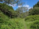 photo thumbnail #13