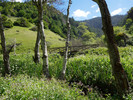 photo thumbnail #15