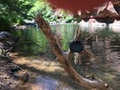 photo thumbnail #8