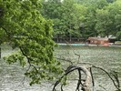 photo thumbnail #8