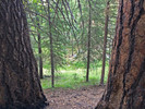 photo thumbnail #7