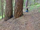 photo thumbnail #8
