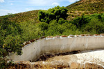 photo thumbnail #12