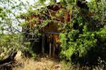 photo thumbnail #13