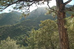 photo thumbnail #8