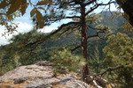 photo thumbnail #11